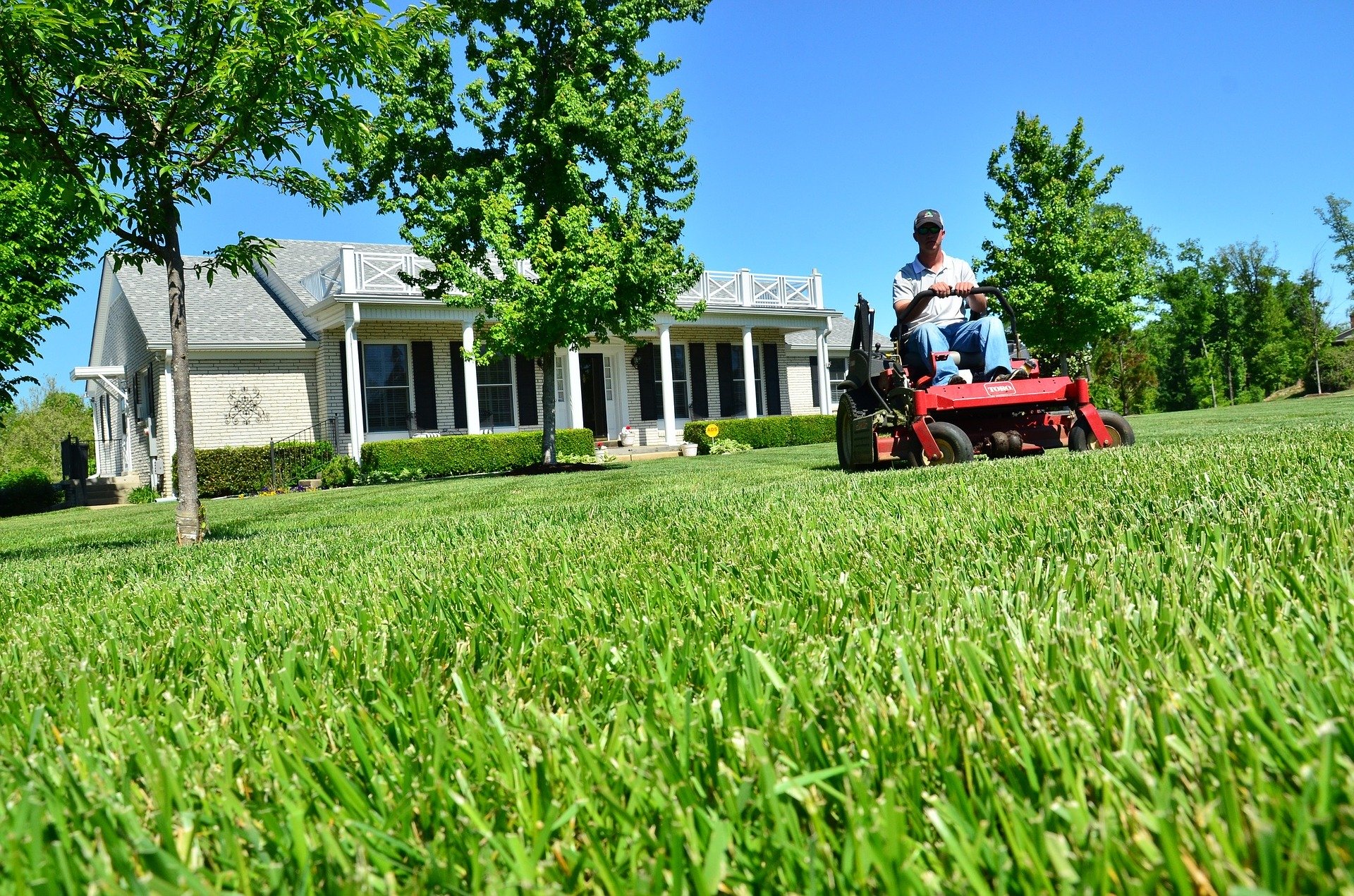 Best Tips For Cutting Grass