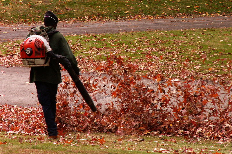 Best Cordless Leaf Blowers