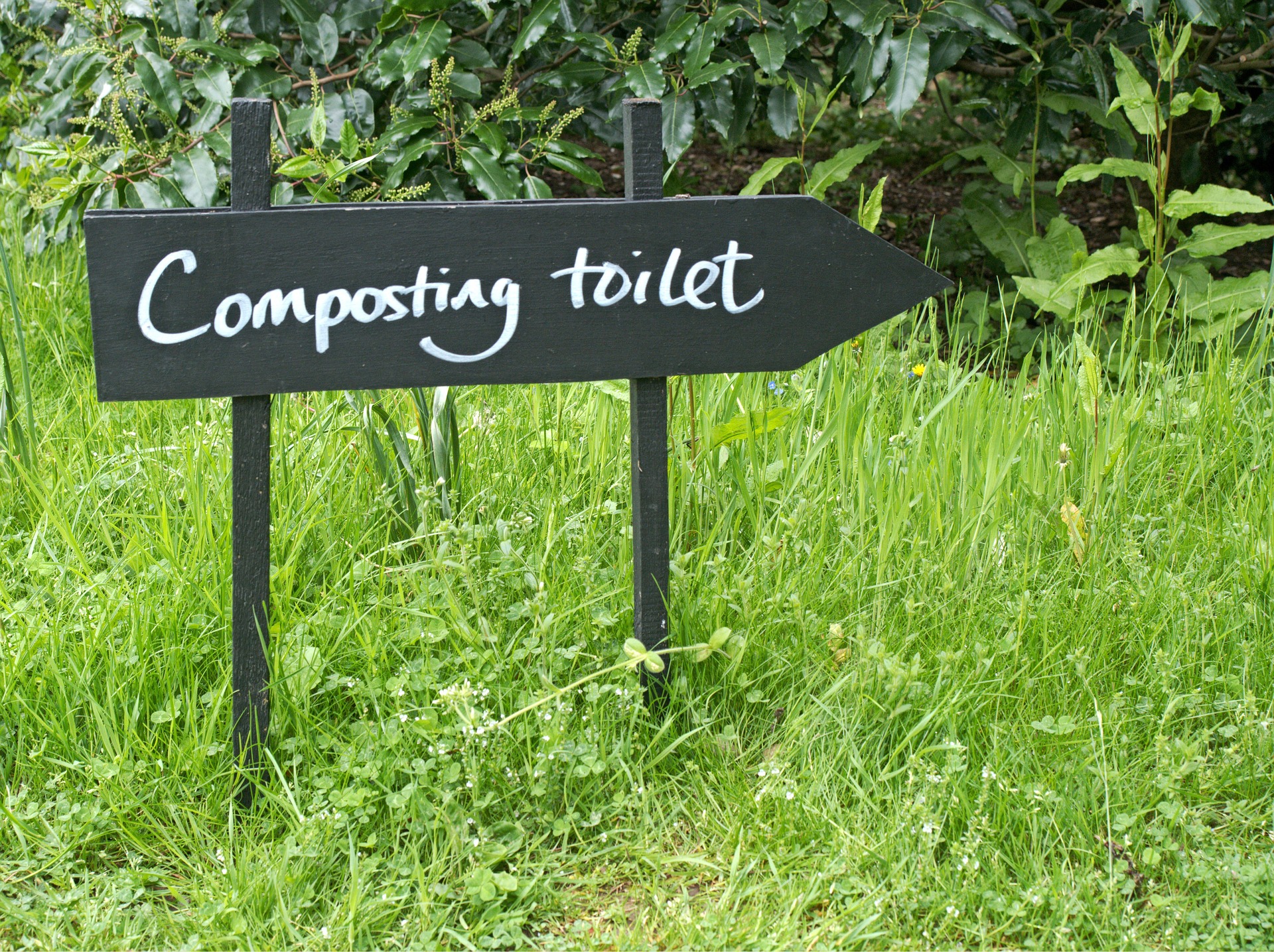 Best Composting Toilet for Tiny House